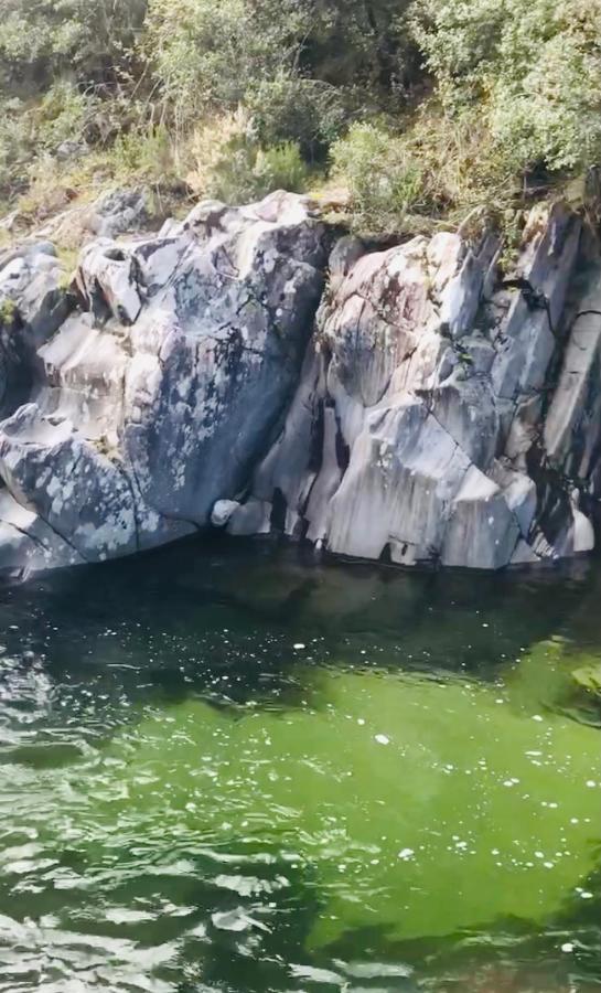 Un Ecrin De Verdure Face A La Mer Isolaccio-di-Fiumorbo Exterior foto